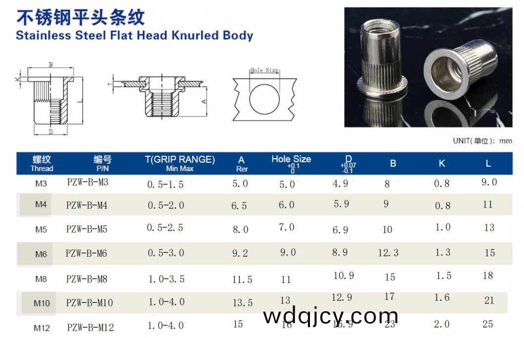 平頭(tou)柱紋(wen)通(tong)孔(kong)拉鉚(liu)螺(luo)母