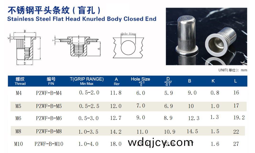 平(ping)頭(tou)柱紋(wen)盲孔(kong)鉚螺(luo)母