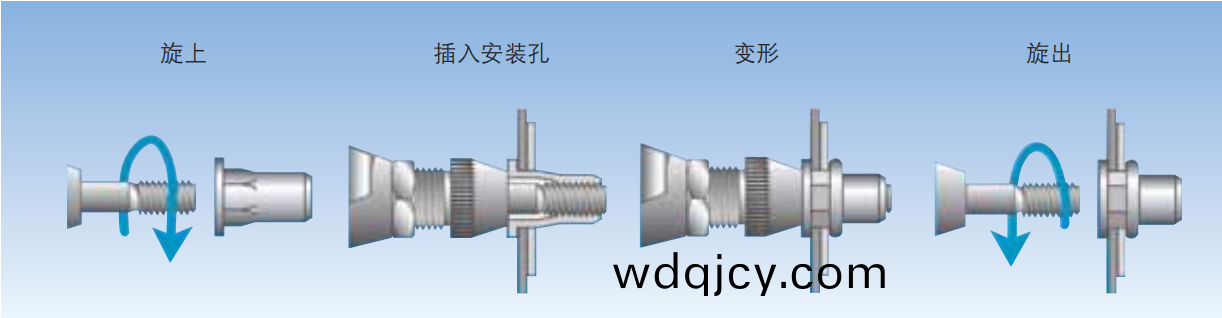 小沉頭柱(zhu)紋通(tong)孔(kong)拉鉚螺母
