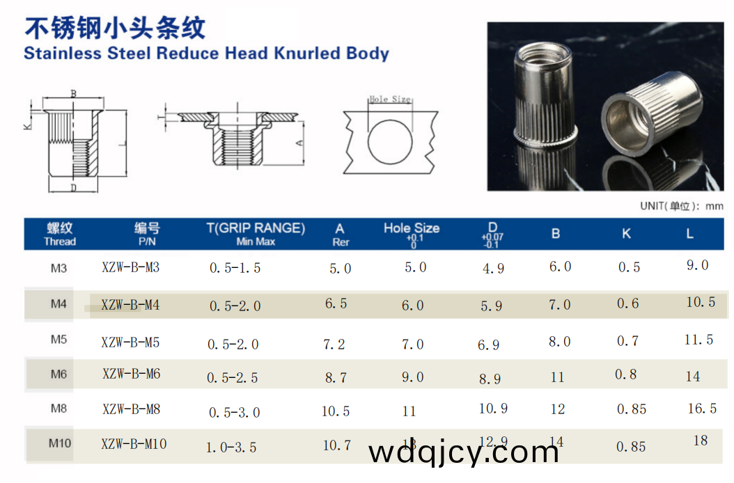 小沉(chen)頭(tou)柱紋通(tong)孔(kong)拉鉚(liu)螺(luo)母