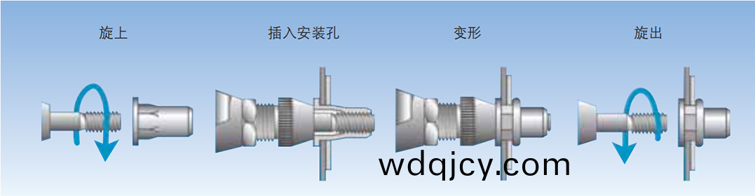 圓(yuan)頭(tou)豎(shu)條(tiao)紋通孔拉鉚(liu)螺(luo)母(mu)