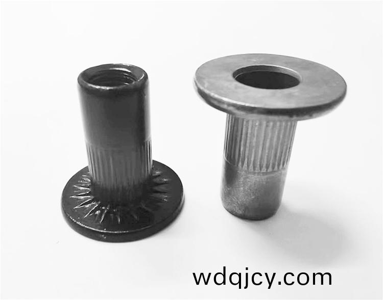 平頭(tou)柱(zhu)紋大戼鉚(liu)螺母