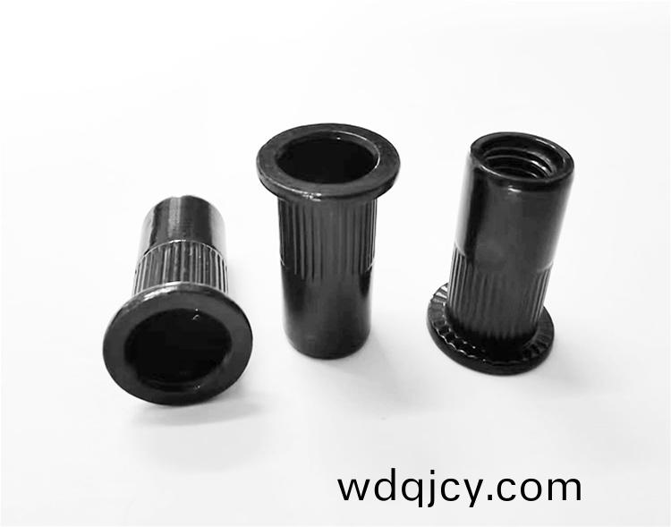 加(jia)長(zhang)型(xing)平(ping)頭(tou)柱(zhu)紋(wen)鉚螺(luo)母